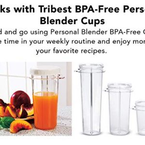 Tribest PB-430GY-A Personal Blender II, Mason Jar Ready Personal Blender with Mason Jar Mug, Gray