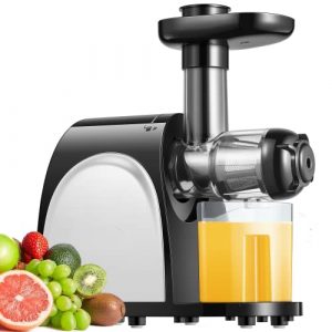 Juicer Machines, Slow Masticating Juicer Easy to Clean, High Juice Yield Cold Press Juicer Extractor with Quiet Motor and Reverse Function, Recipes for Fruits and Vegetables, BPA Free