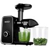 Juicer Machines,Iwodtech Slow Masticating Juicer,Cold Press Juicer machines with Quiet Motor&Reverse Function,90% Juice Yield,Easy to Clean,Juicer Machine for Vegetable and Fruit(Black)