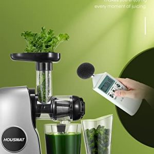 Juicer Machines, HOUSNAT Professional Celery Slow Masticating Juicer Extractor Easy to Clean, Cold Press Juicer with Quiet Motor and Reverse Function for Fruit & Vegetable, Brushes & Recipes Included, Grey