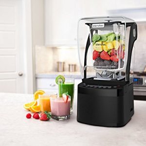Blendtec Professional 800 Blender with BPA-Free WildSide Jar + Blending 101 Quick-Start Guide and Recipes + Owner's Manual and User Guide