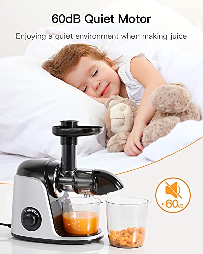 Cold Press Juicer Machines, Slow Masticating Juicer with 2 Speed Modes & Reverse Function for Vegetable and Fruit, BPA-Free Juicers Extractor Easy to Clean with Quiet Motor, Recipe & Cleaning Brush
