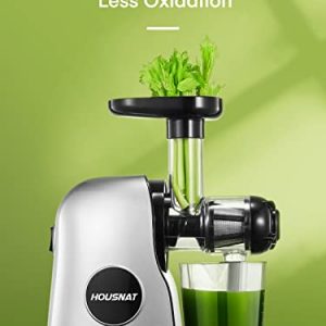 Juicer Machines, HOUSNAT Professional Celery Slow Masticating Juicer Extractor Easy to Clean, Cold Press Juicer with Quiet Motor and Reverse Function for Fruit & Vegetable, Brushes & Recipes Included, Grey
