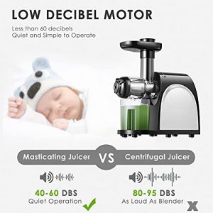 Slow Masticating Juicer, Cold Press Juicer Machine Easy to Clean, Higher Juicer Yield and Drier Pulp, Juice Extractor with Quiet Motor and Reverse Function, BPA-Free, with Recipes