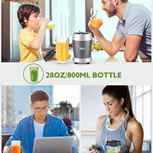 YaFex 700W Personal Blender for Shakes and Smoothies, 6-Blade Smoothie Blender for Frozen Fruit and Ice, with 1 28 Oz Travel Bottle, 1 To-Go Lid, BPA Free & Dishwasher Safe (Gray/Silver)