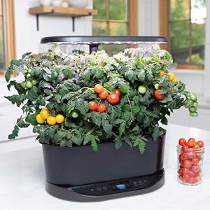 AeroGarden Bounty - Indoor Garden with LED Grow Light, WiFi and Alexa Compatible, Black