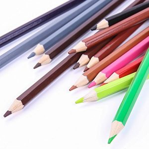 Coloured Pencils Set, Rock Ninja 50 Art Grade Colouring Pencils with Premium Black Roll-Up Canvas Case for Artists, Children & Adults, according to DIN EN71, eco-friendly PEFC wood, with Sharpener