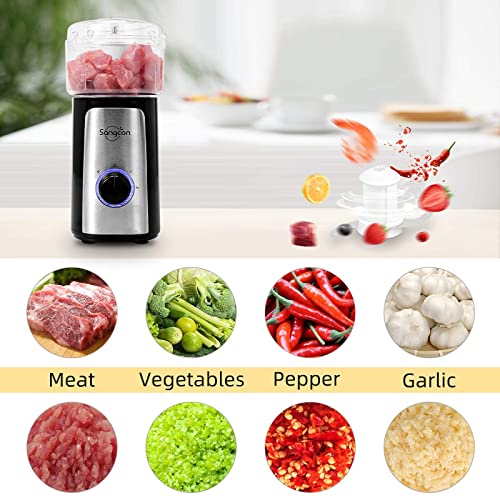 5 in 1 Food Processor and Blender Combo for Kitchen, Mini Electric Food Chopper for Meat and Vegetable, 350W High Speed Blenders with 2 Speeds and Pulse for Smoothies and Shakes