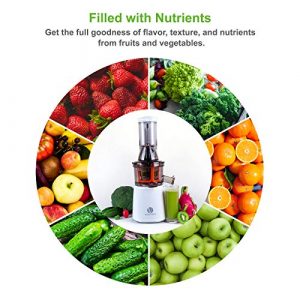 Ventray Masticating Juicer Machines- Slow Juicer Extractor with Wide Chute Big Feeding Mouth, Easy to Clean- Cold Press Juice Maker – White
