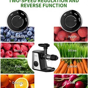 Cold Press Juicer Machines, Bonsenkitchen Slow Juicer Masticating Juicer Easy to Clean, BPA Free, Quiet Motor & Reverse Function,Juicer Extractor Machines Vegetable and Fruit,Celery, Carrot,High Nutrition Reserve