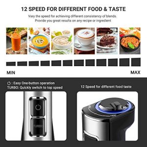 5-in-1 Immersion Blender, REDMOND Hand Blender 12-Speed Powerful Electric Stick Blender with 4 Stainless Steel Attachments, with Egg Whisk, Milk Frother, Food Chopper and Container for Smoothie, Food and Juice