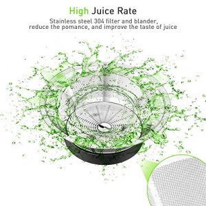 Juicer Centrifugal Machines, Large Juice Extractor for Whole Fruit and Vegetables, BPA Free, 600W Dual Speeds Stainless Steel Juice Maker, Detachable, Easy to Clean Orange Juicer (Brush Included)