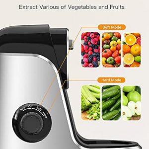 Cold Press Juicer Machines, Slow Masticating Juicer with 2 Speed Modes & Reverse Function for Vegetable and Fruit, BPA-Free Juicers Extractor Easy to Clean with Quiet Motor, Recipe & Cleaning Brush