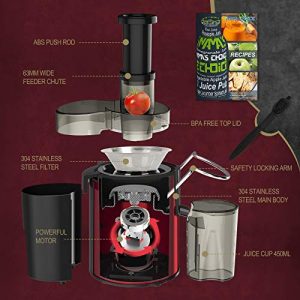 Juicer Machine Vegetable and Fruit Centrifugal Juicer, Juice Extractor with 3'' Wide Mouth 3-Speed Setting, Upgraded Version 400W Motor Qucik Juicing