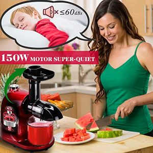 Juicer Machines, COLAZE Slow Masticating Juicer with 2 Speed and Reverse Function, Cold Press Juicer Extractor with Queit Motor, Celery Juicer with Recipe and Brush