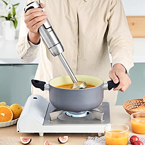 REDMOND 500 Watt 8-Speed Immersion Multi-Purpose Hand Blender Heavy Duty Copper Motor Brushed 304 Stainless Steel With Whisk, Milk Frother Attachments, HB004