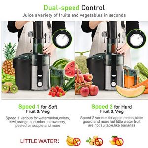 Juicer Centrifugal Machines, Large Juice Extractor for Whole Fruit and Vegetables, BPA Free, 600W Dual Speeds Stainless Steel Juice Maker, Detachable, Easy to Clean Orange Juicer (Brush Included)