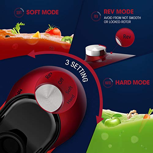 Juicer Machines, Slow Masticating Juicer for Vegetable and Fruit, Cold Press Juicer Extractor Easy to Clean with Total Pulp Control, Quiet Motor, Reverse Function, Brush and Recipes