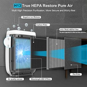 Air Purifier, Zigma AI Air Purifiers for Home Large Room up to 1580 ft2, H13 True HEPA Filter Quiet Removal 99.99% Dust, Pollen, Smoke, Pet Odors, Smart WIFI Air Cleaner for Bedroom（H14 Available）