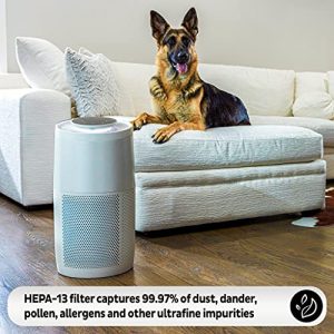 Instant HEPA Air Purifier for Home Allergens & Pet Danders, Removes 99.9% of Dust, Smoke, & Pollen with Plasma Ion Technology, AP 300 Pearl