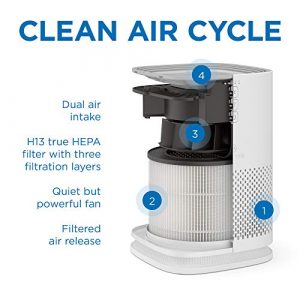 Medify MA-14 Air Purifier with H13 True HEPA Filter | 200 sq ft Coverage | for Allergens, Smoke, Smokers, Dust, Odors, Pollen, Pet Dander | Quiet 99.9% Removal to 0.1 Microns | White, 1-Pack
