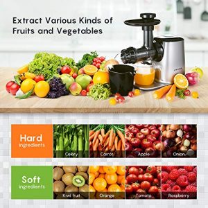 Slow Juicer Machine, Crenova Cold Press Masticating Juicer with 95% Juice Yield, Low Noise, Portable Bottle, Brush, Vegetable & Fruit Juice Recipes, Easy to Assemble & Clean