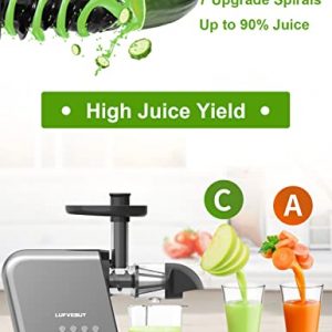 Slow Juicer Cold Press Juicer Masticating Juicer Machines for Purple Cabbage, Carrots, Parsley, Easy to Clean Juicer with 2-Speed Modes for High Nutrient Vegetables & Fruits, Quiet Motor & Not Jammed