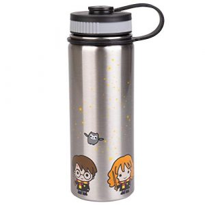 Harry Potter Stainless Steel Water Bottle - Steel with With Harry, Ron and Hermione Chibi Character Design - 550ml