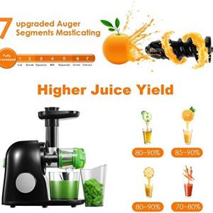 Juicer Machines, Slow Masticating Juicer Easy to Clean, Cold Press Juicer Extractor with Quiet Motor & Reverse Function for Vegetable and Fruit, Classic Black