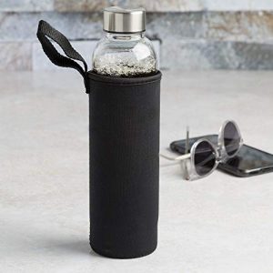 Primula Cold Brew Travel Bottle with Black Insulating Neoprene Sleeve - Borosilicate Glass and Stainless Steel Mesh Core - Dishwasher Safe - 19 Oz. - Clear