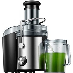 Juicer Machines 1000W Juicer Extractor Quick Juicing for Whole Fruit and Vegetable Easy to Clean, 75MM Large Feed Chute, Dual Speed Setting and Non-Slip Feet, Silver