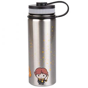 Harry Potter Stainless Steel Water Bottle - Steel with With Harry, Ron and Hermione Chibi Character Design - 550ml