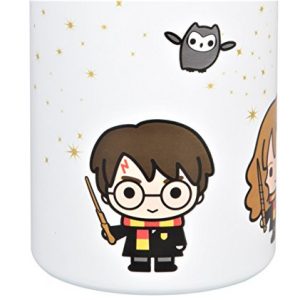 Harry Potter Stainless Steel Water Bottle - White with Harry, Ron and Hermione Chibi Character Design - Double Wall Insulated - 550ml