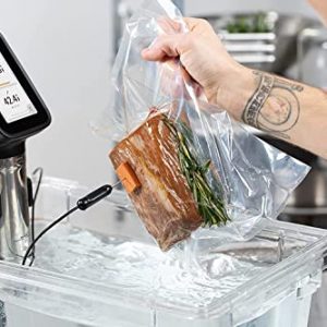 Breville Polyscience HydroPro Plus Sous Vide Immersion Circulator, 1450 Watt, Bluetooth, Stainless, CSV750PSS1BUC1
