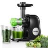 Juicer Machines, HOUSNAT Professional Celery Slow Masticating Juicer Extractor Easy to Clean, Cold Press Juicer with Quiet Motor and Reverse Function for Fruit & Vegetable, Brushes & Recipes Included, Black