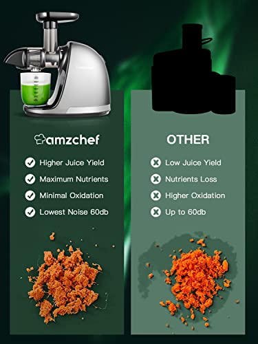 Slow Masticating Juicer, AMZCHEF Slow Juicer Extractor Professional Machine, Cold Press Juicer with Quiet Motor/Reverse Function, Juicer Machines with Brush, for High Nutrient Fruit & Vegetable Juice