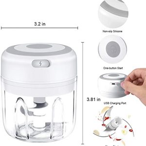 Hiraethore Electric Mini Garlic Chopper, Wireless Portable Food Processor, Waterproof Garlic Masher Blender, Vegetables Onions Chili Meat Nuts Salad Pepper Ginger Baby Food(250ML), New White (DSB-1)