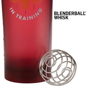 Harry Potter BlenderBottle V2 Shaker Bottle, 28 oz - Seeker in Training - Gryffindor Quidditch Colors