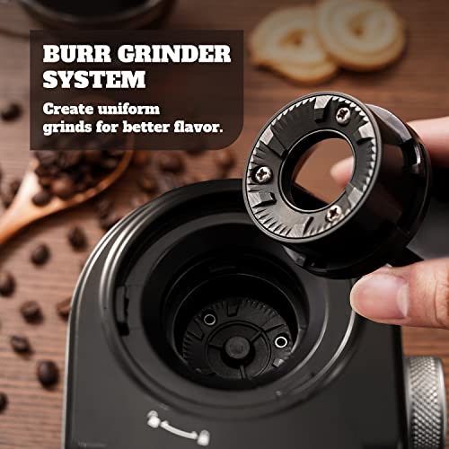 Biugh Coffee Grinder Electric, Automatic Burr Mill with 16 Precise Grind Settings, 14 Cup, Silver
