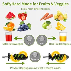 Juicer Machines Slow Masticating Cold Press Juicer Vegetables and Fruits Juice Extractor, Easy to Clean Quiet Juicer, BPA-Free,with Reverse Function, High Yield for Celery Carrot Kale Ginger Home Use