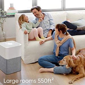 BLUEAIR Air Purifier for Home Allergies Pet Dander in Large Rooms,HEPASilent Filtration Technology with 1 Button Control,Removes 99.97% of Pollen Dust Smoke Viruses,211+Auto with Washable Pre-filter
