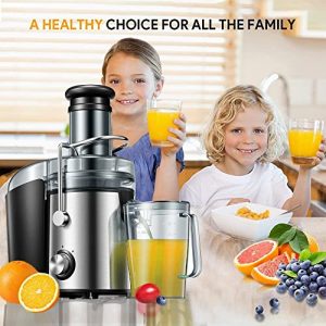 Juicer Machines 1000W Juicer Extractor Quick Juicing for Whole Fruit and Vegetable Easy to Clean, 75MM Large Feed Chute, Dual Speed Setting and Non-Slip Feet, Silver