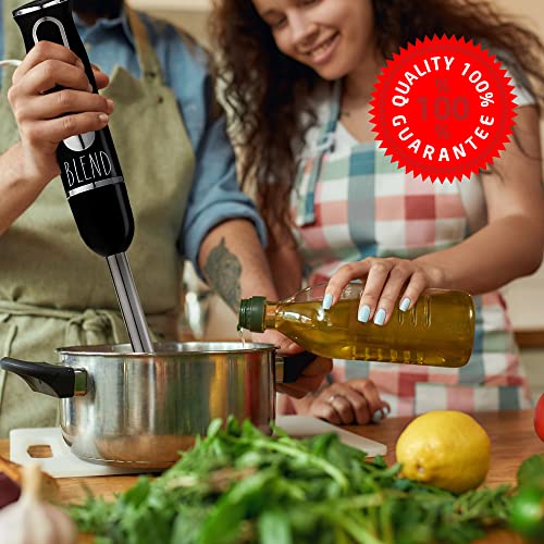 Rae Dunn Immersion Hand Blender- Handheld Immersion Blender with Egg Whisk and Milk Frother Attachments, 2 Speed Blender, 500 Watts, Stainless Steel Blade (Black)