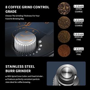 10-Cup Drip Coffee Maker, Grind and Brew Automatic Coffee Machine with Built-In Burr Coffee Grinder, Programmable Timer Mode and Keep Warm Plate, 1.5L Large Capacity Water Tank,900W, Black (Aluminum, 10 Cup)