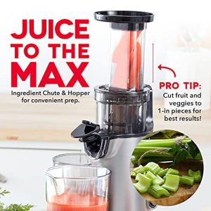 DASH Deluxe Compact Masticating Slow Juicer, Easy to Clean Cold Press Juicer with Brush, Pulp Measuring Cup, Frozen Attachment and Juice Recipe Guide - Graphite