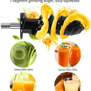 Masticating Slow Juicers for Leafy Greens Tomato Celery Carrot Wheatgrass, Cold Press Slow Juicer Machines Quiet Motor Easy Clean, Vegetable and Fruit Juice Extractor BPA-Free Dry Pulp Dishwasher Safe
