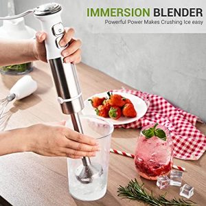Immersion Hand Blender, REDMOND 4-in-1 Immersion Blender Handheld Stainless Steel Stick Blender Batidora De Mano 500W White