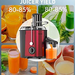 Juicer Machine, 800W Juice Extractor with 3'' Big Mouth, 3 Speed Centrifugal Juicer for Whole Fruit Vegetable, Easy to Clean, Non-Slip Feet, BPA-Free