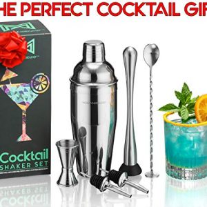 Mixology Cocktail Shaker Set Drink Mixer, 8-piece Portable Bartender Kit with 24oz Martini Shaker Barware Tool Set, 2 Pourers, Muddler, Jigger, Mixing Spoon, Velvet Bag, Built-in Strainer (Silver)