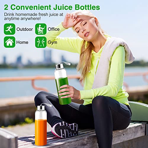 Juicer Machines,AMZCHEF Slow Masticating Juicer Extractor, Cold Press Juicer with Two Speed Modes, 2 Travel bottles(500ML),LED display, Easy to Clean Brush & Quiet Motor for Vegetables&Fruits,Gray